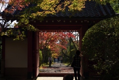 181111a常照寺05