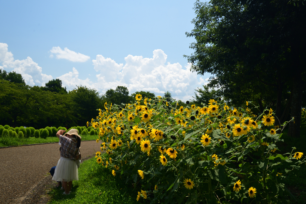 220807馬見丘陵公園03
