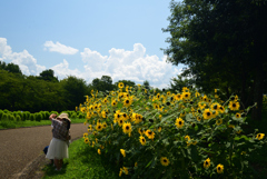 220807馬見丘陵公園03