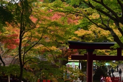 181114b談山神社05