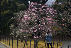 210304b長岡天満宮30