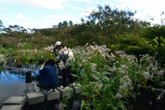 2501013a梅小路公園02