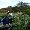 2501013a梅小路公園02