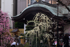 190302b大阪天満宮27