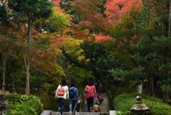 181118f今熊野観音寺01