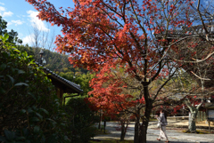 201129a光明寺10