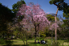 220405a京都御苑42