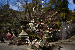 190301a石山寺16