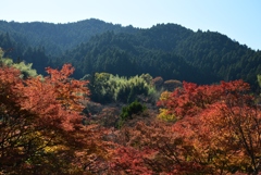 171113a談山神社54