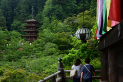 230618長谷寺14