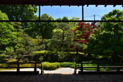 190508c正伝永源院17