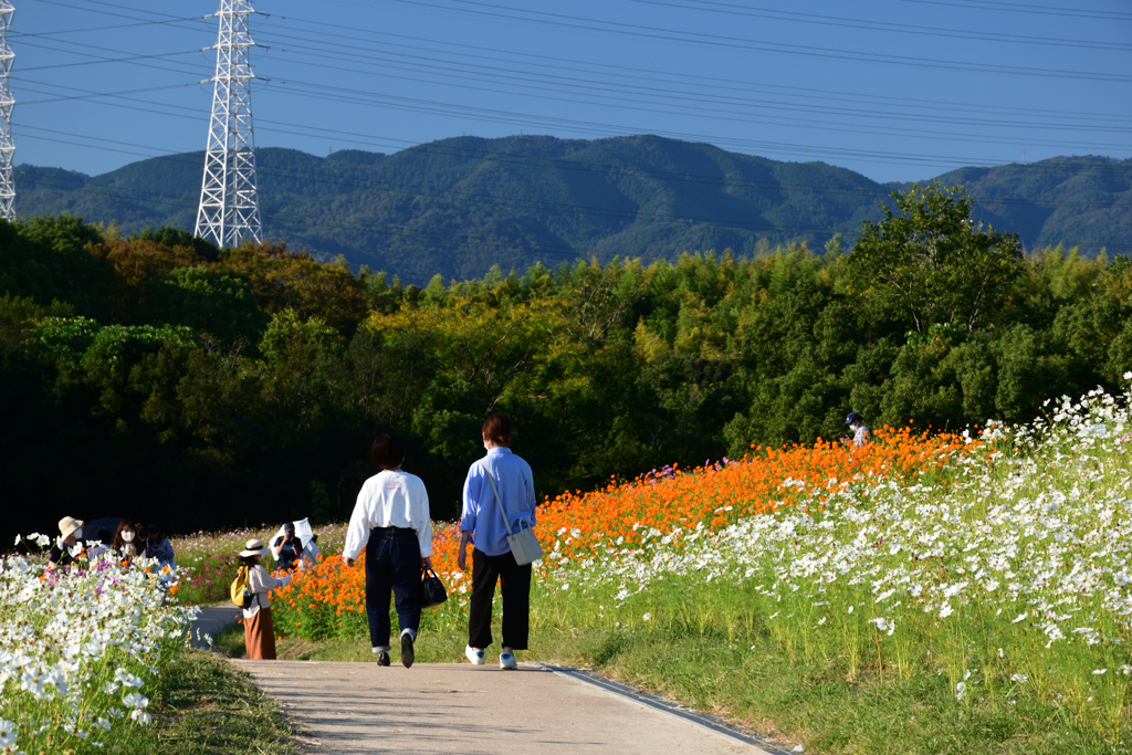 211015万博公園35