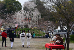 240402j円山公園08