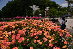 200524長居植物園30