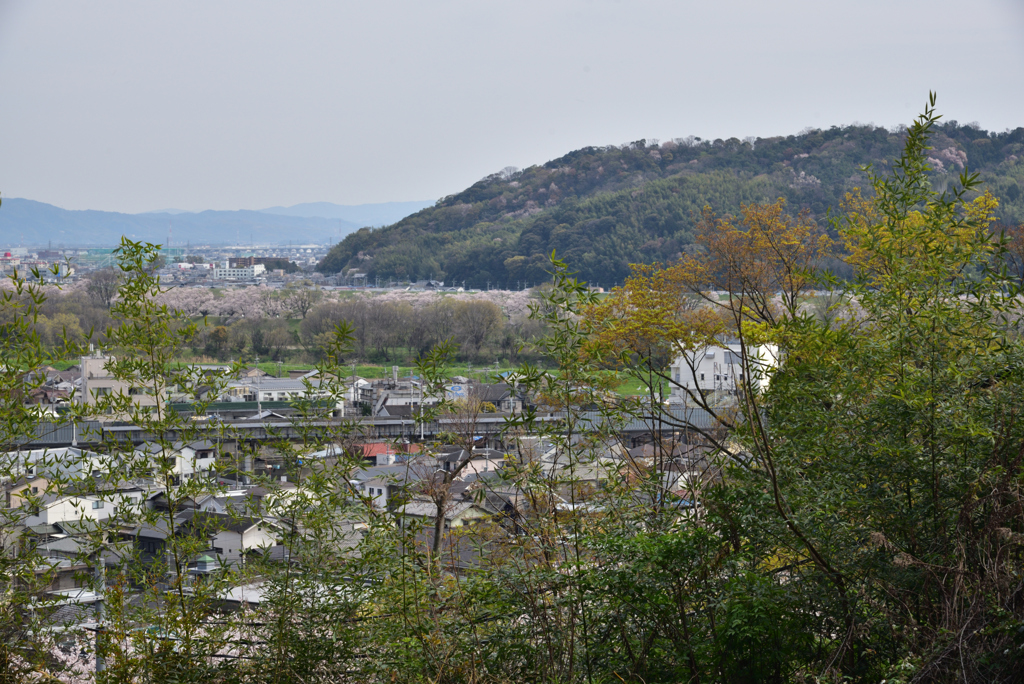 200403d山崎聖天10