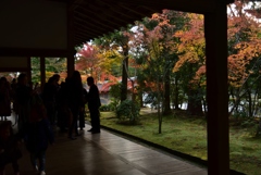 181125d龍安寺55
