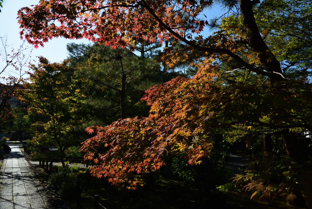 191109c清凉寺02