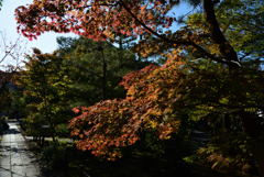 191109c清凉寺02