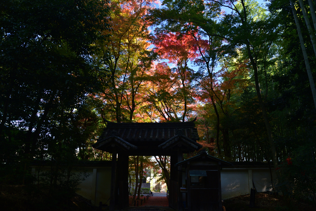 221125b地蔵院06