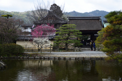 210223a梅宮大社12