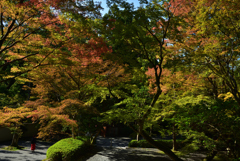 191110c今熊野観音寺28