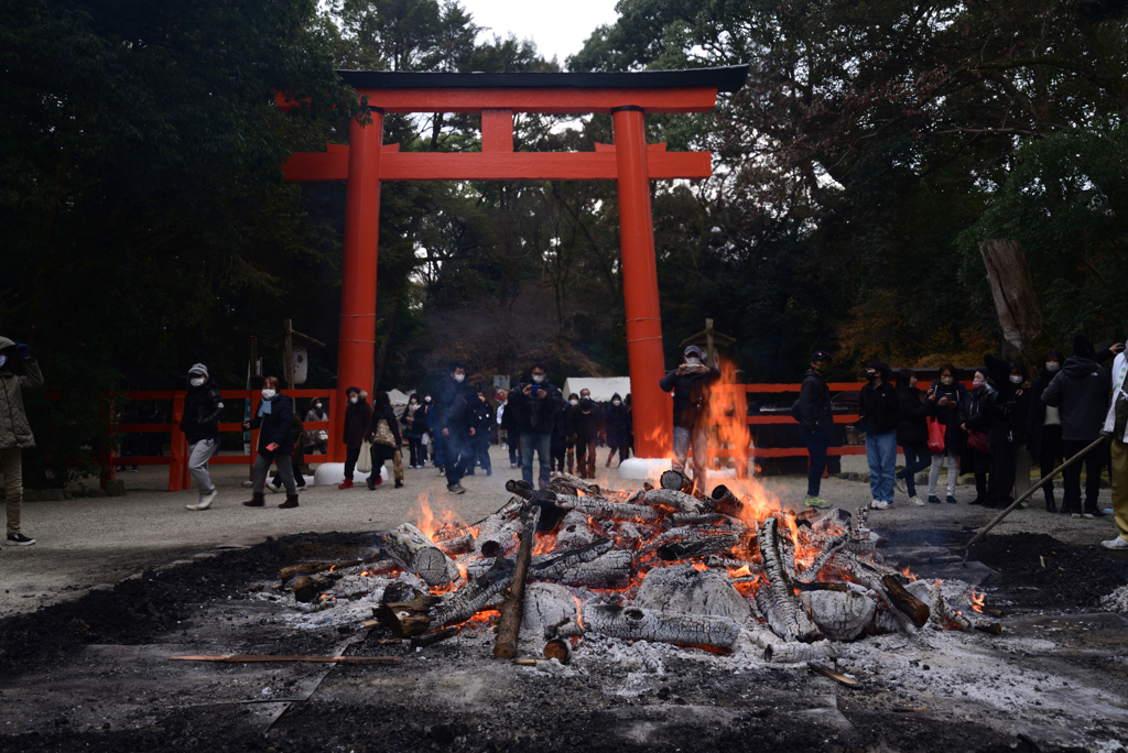 230102下鴨神社11