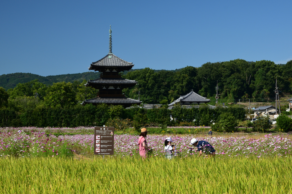 211009a法起寺15