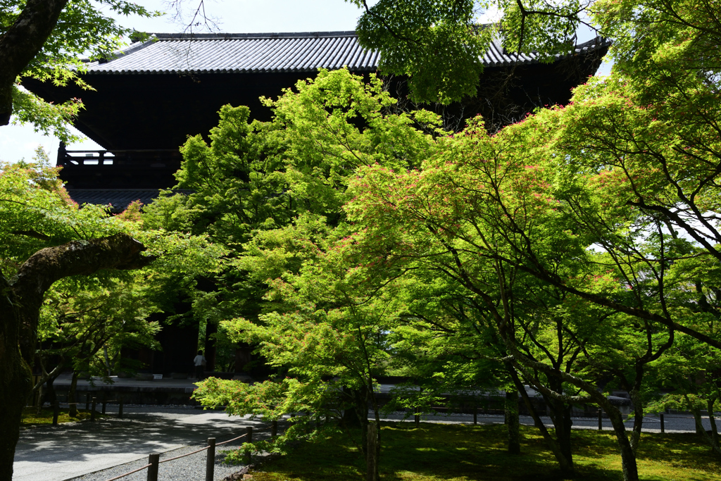 210514南禅寺18