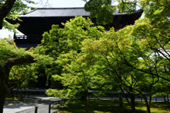 210514南禅寺18