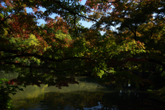 201031京都植物園17