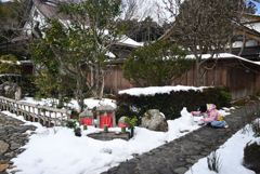 250210c大原宝泉院11