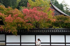 181104b南禅寺57