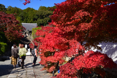 221112b満願寺06