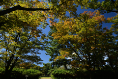 221015京都植物園02