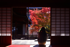 241208a西陣興聖寺17