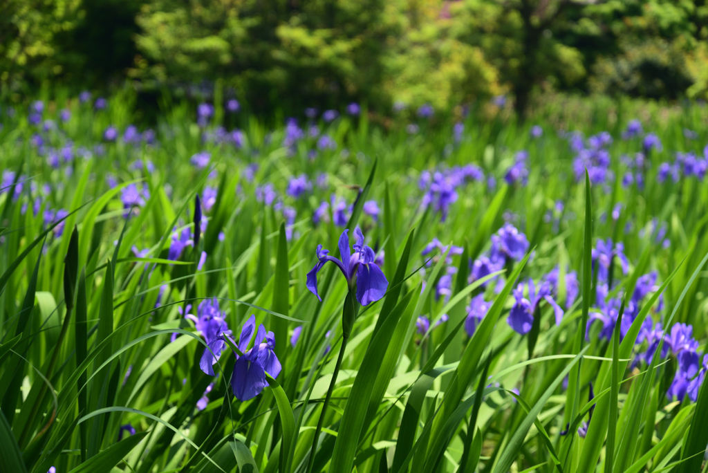 220503b大田神社37
