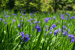 220503b大田神社37
