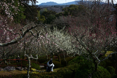 240224a石山寺18