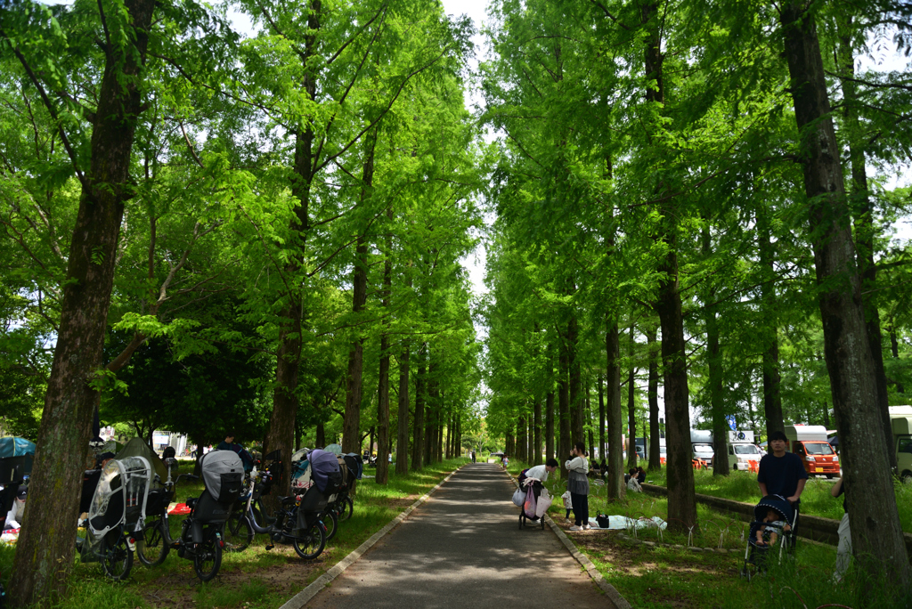240518鶴見緑地47