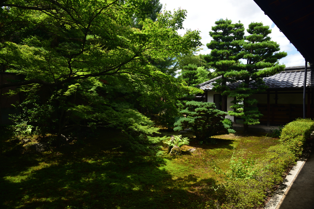 190707a建仁寺33西来院