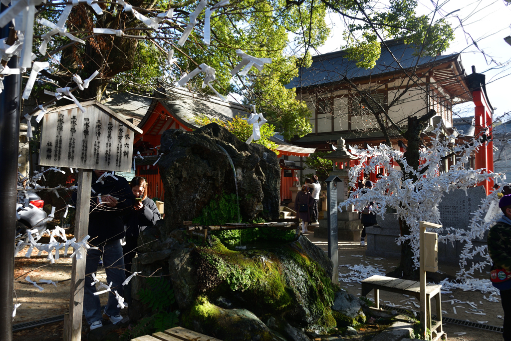 260103藤森神社15