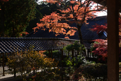 241129c佛通寺18
