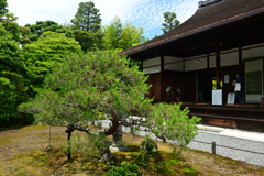250606妙心寺退蔵院20
