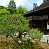 250606妙心寺退蔵院20