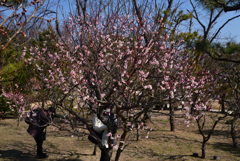 220226万博公園38