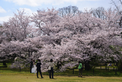 200402a京都植物園43