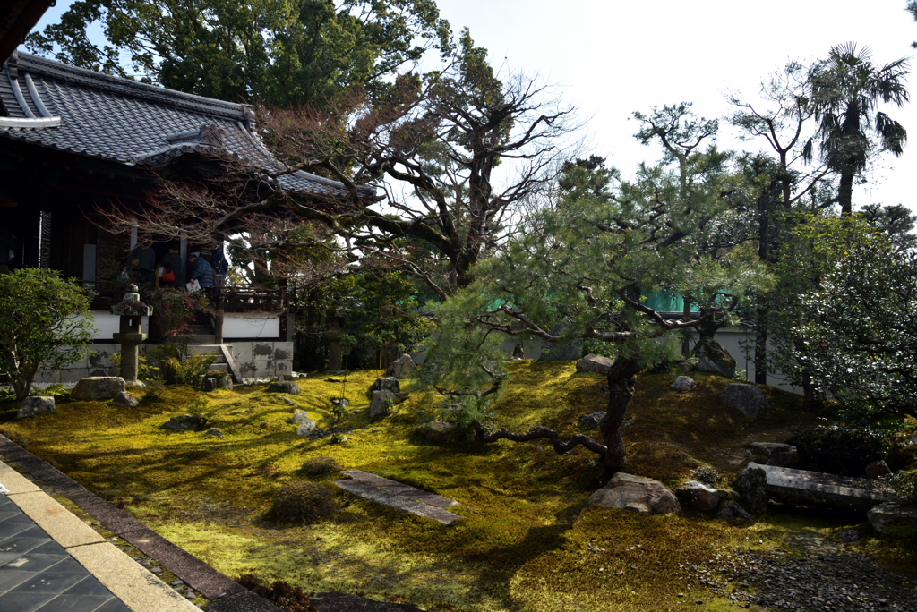 190205a妙心寺麟祥院17