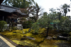 190205a妙心寺麟祥院17