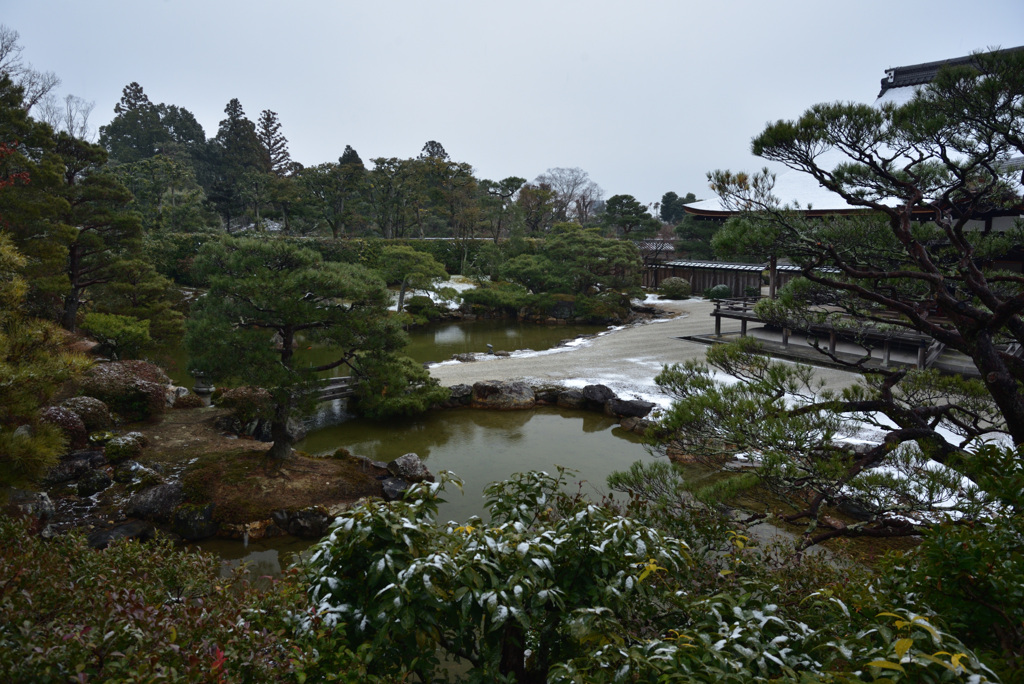 210112仁和寺29