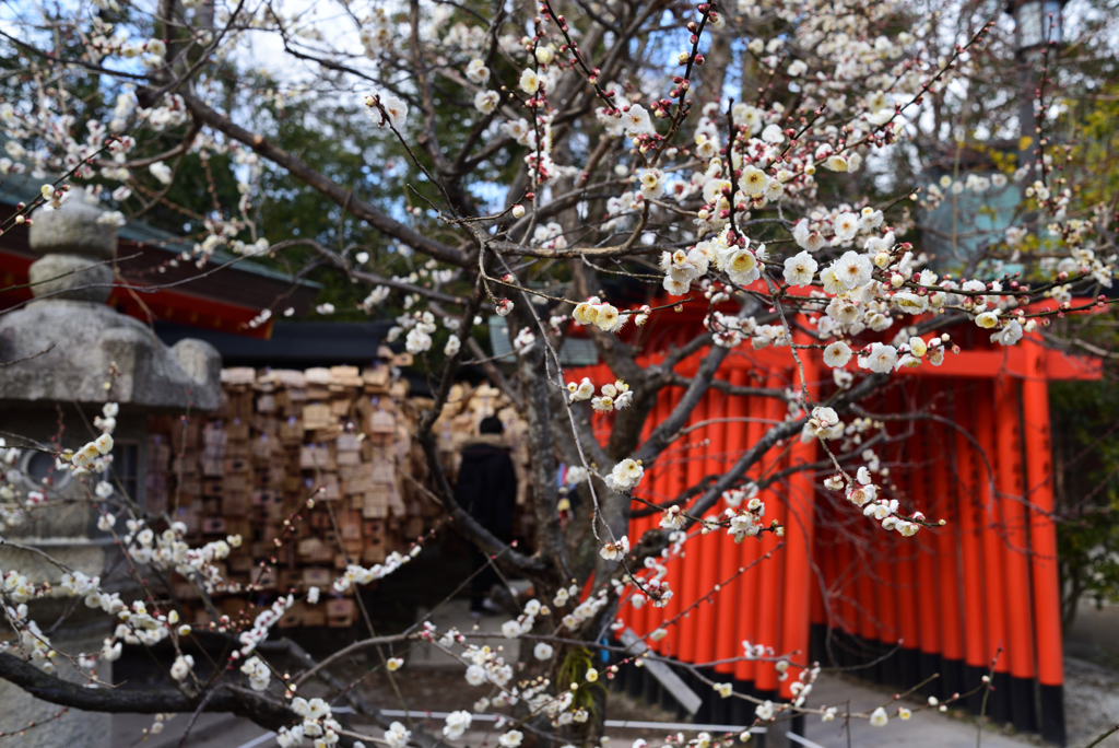 190214c北野天満宮29